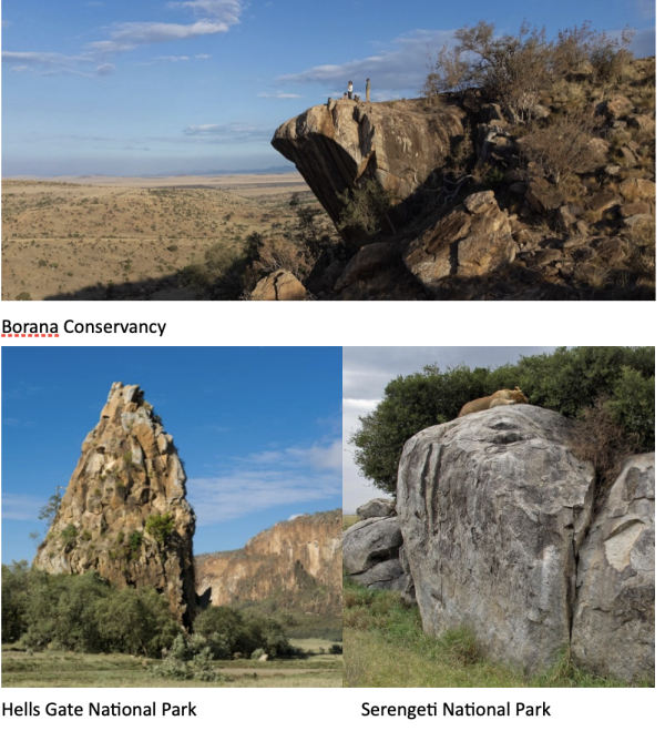 S202511-Screen-Shot-2025-11-07-at-3.42.26-PM-600x659 Three landscape reference photos from African wildlife regions used for scenic inspiration: the top image shows a dramatic rocky cliff overlooking the Borana Conservancy; the lower left image features a tall jagged rock spire in Hell’s Gate National Park; and the lower right image shows a lion resting atop a large rock formation in Serengeti National Park.