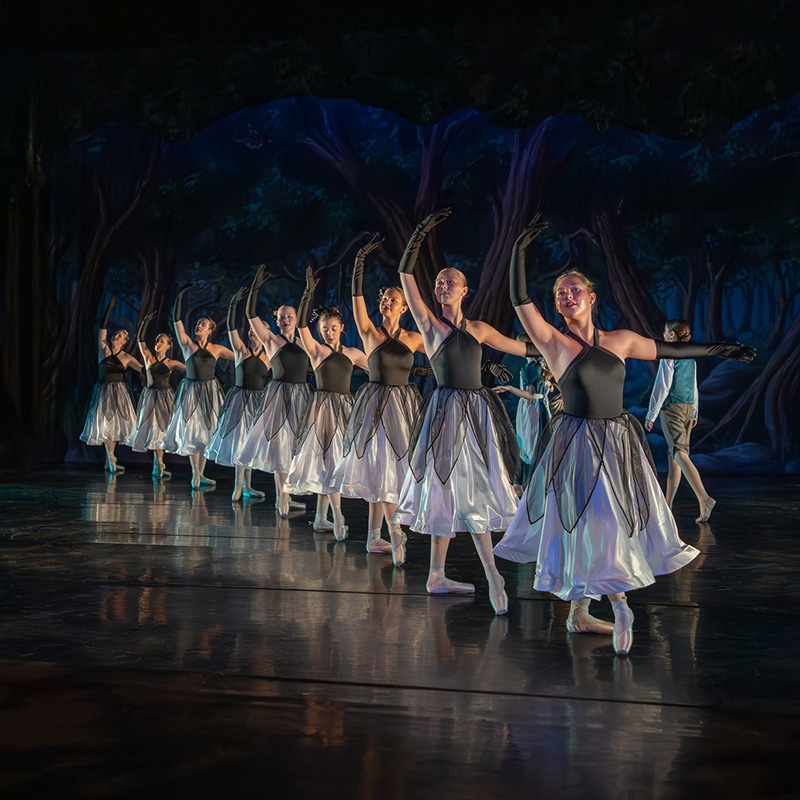 A line of ballet dancers performs onstage in coordinated black-and-white costumes with sheer skirts and long gloves. The dancers pose gracefully with raised arms against a dimly lit forest backdrop, their reflections visible on the glossy stage floor.
